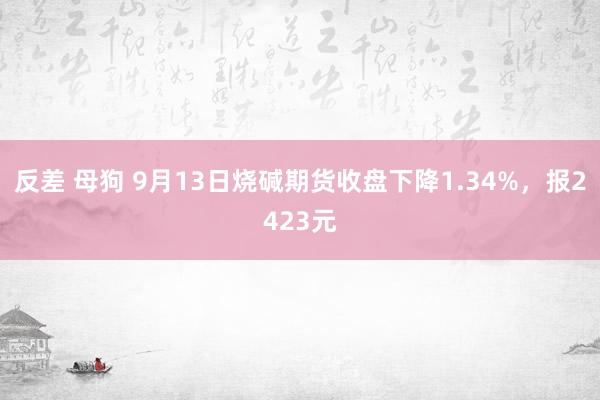 反差 母狗 9月13日烧碱期货收盘下降1.34%，报2423元