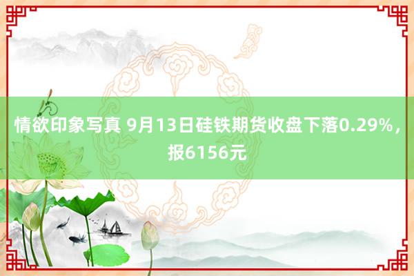 情欲印象写真 9月13日硅铁期货收盘下落0.29%，报6156元