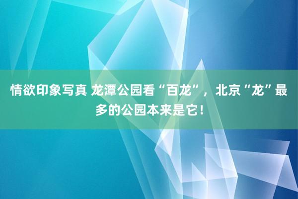 情欲印象写真 龙潭公园看“百龙”，北京“龙”最多的公园本来是它！