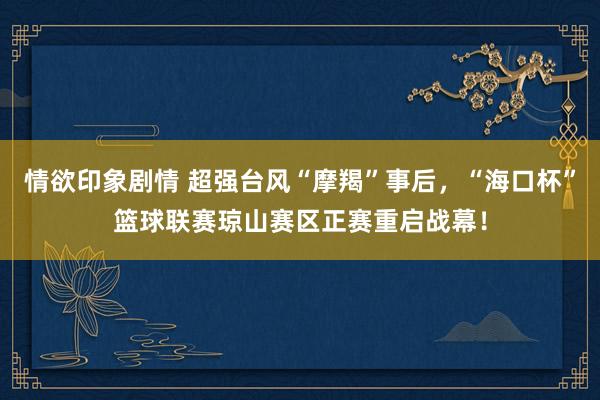 情欲印象剧情 超强台风“摩羯”事后，“海口杯”篮球联赛琼山赛