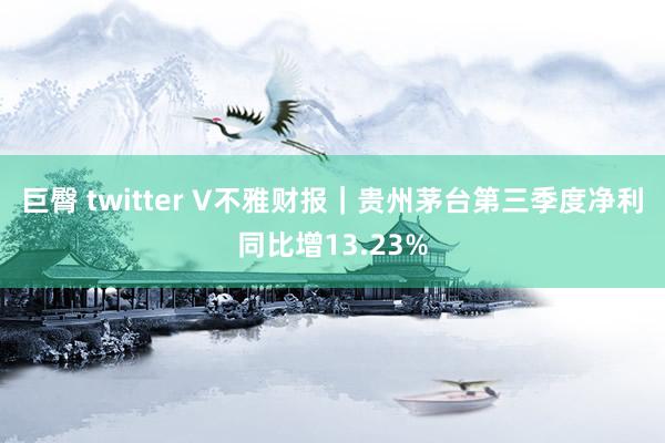 巨臀 twitter V不雅财报｜贵州茅台第三季度净利同比增13.23%