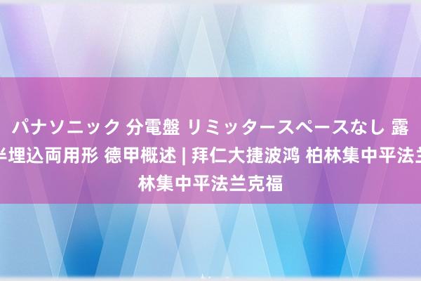 パナソニック 分電盤 リミッタースペースなし 露出・半埋込両用形 德甲概述 | 拜仁大捷波鸿 柏林集中平法兰克福