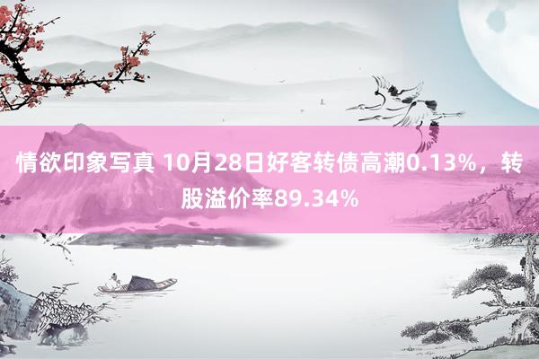 情欲印象写真 10月28日好客转债高潮0.13%，转股溢价率89.34%