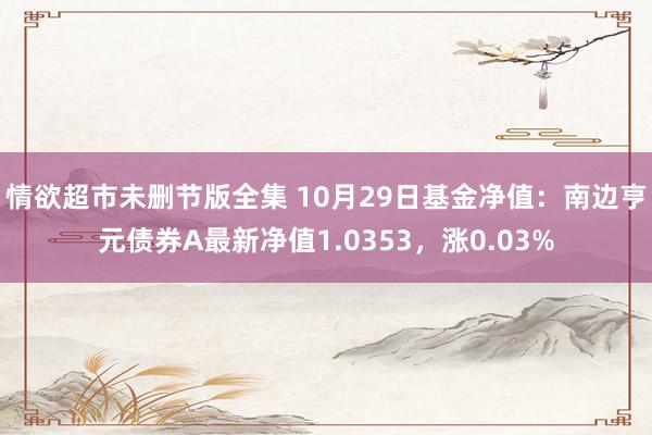 情欲超市未删节版全集 10月29日基金净值：南边亨元债券A最新净值1.0353，涨0.03%