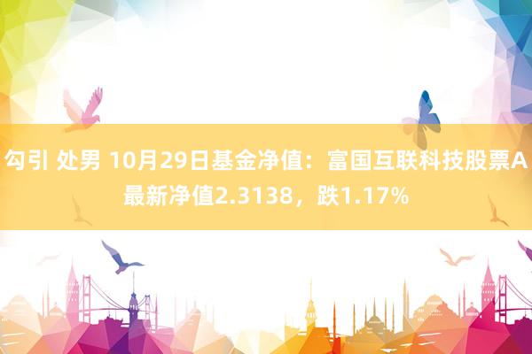 勾引 处男 10月29日基金净值：富国互联科技股票A最新净值2.3138，跌1.17%