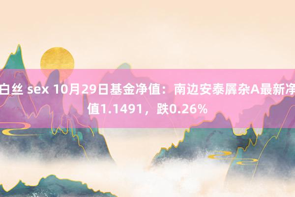 白丝 sex 10月29日基金净值：南边安泰羼杂A最新净值1.1491，跌0.26%