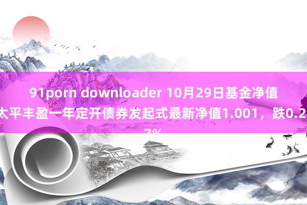 91porn downloader 10月29日基金净值：太平丰盈一年定开债券发起式最新净值1.001，跌0.27%