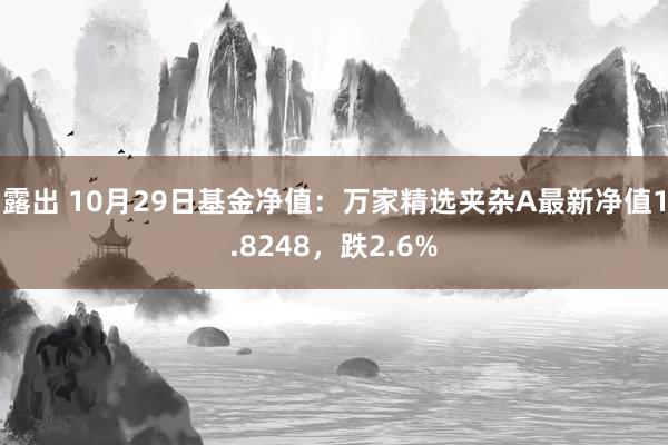 露出 10月29日基金净值：万家精选夹杂A最新净值1.8248，跌2.6%