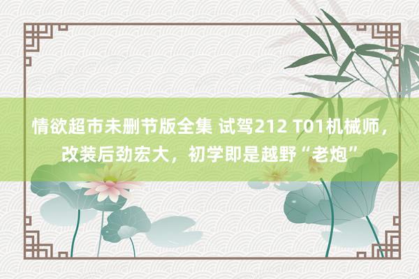 情欲超市未删节版全集 试驾212 T01机械师，改装后劲宏大，初学即是越野“老炮”