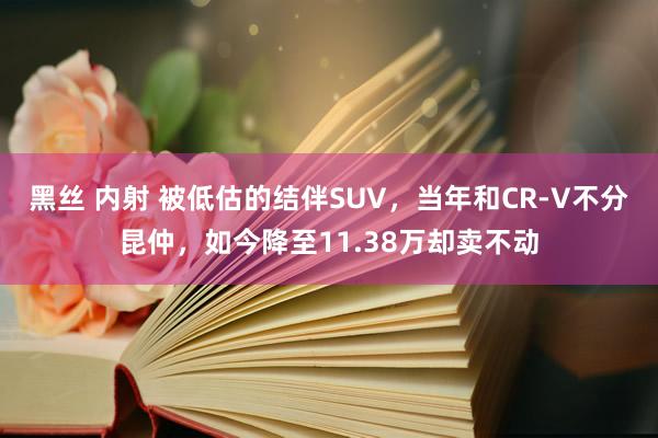 黑丝 内射 被低估的结伴SUV，当年和CR-V不分昆仲，如今降至11.38万却卖不动