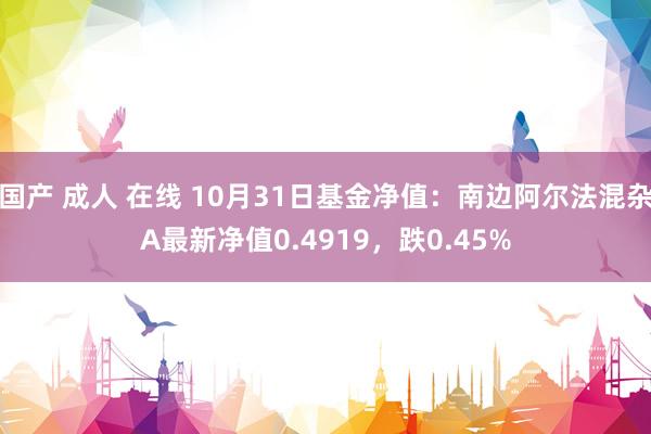 国产 成人 在线 10月31日基金净值：南边阿尔法混杂A最新净值0.4919，跌0.45%