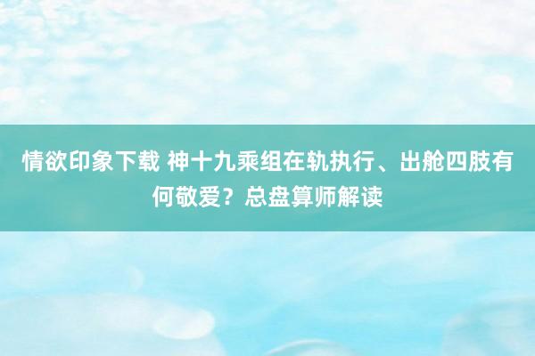 情欲印象下载 神十九乘组在轨执行、出舱四肢有何敬爱？总盘算师解读