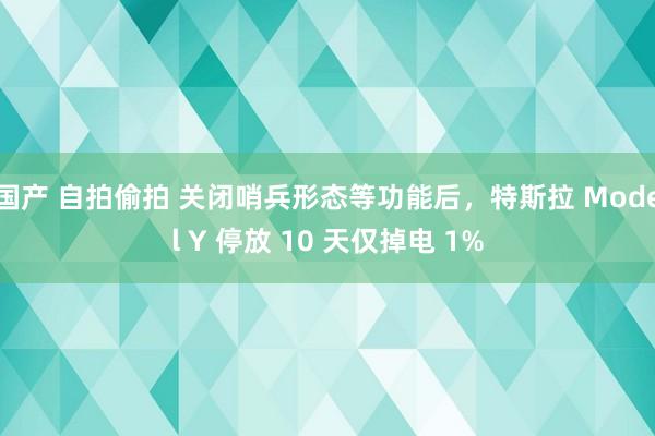 国产 自拍偷拍 关闭哨兵形态等功能后，特斯拉 Model Y 停放 10 天仅掉电 1%