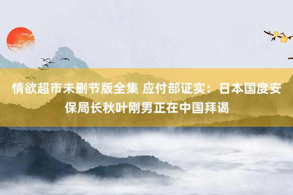 情欲超市未删节版全集 应付部证实：日本国度安保局长秋叶刚男正在中国拜谒