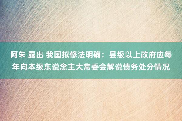 阿朱 露出 我国拟修法明确：县级以上政府应每年向本级东说念主大常委会解说债务处分情况