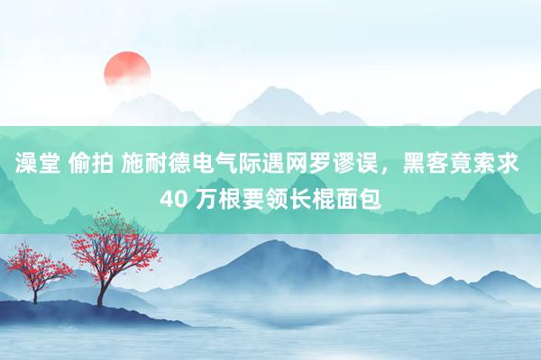 澡堂 偷拍 施耐德电气际遇网罗谬误，黑客竟索求 40 万根要领长棍面包