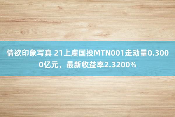 情欲印象写真 21上虞国投MTN001走动量0.3000亿元，最新收益率2.3200%