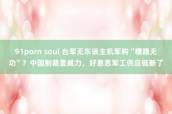 91porn soul 台军无东谈主机军购“糟蹋无功”？中国制裁显威力，好意思军工供应链断了