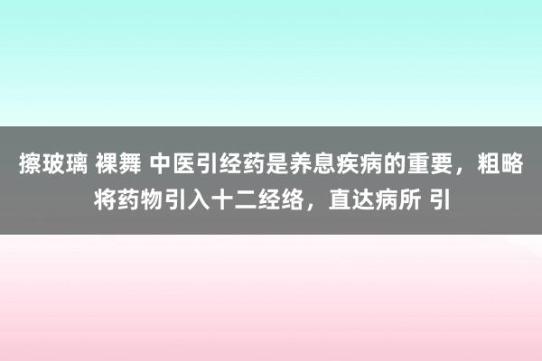 擦玻璃 裸舞 中医引经药是养息疾病的重要，粗略将药物引入十二