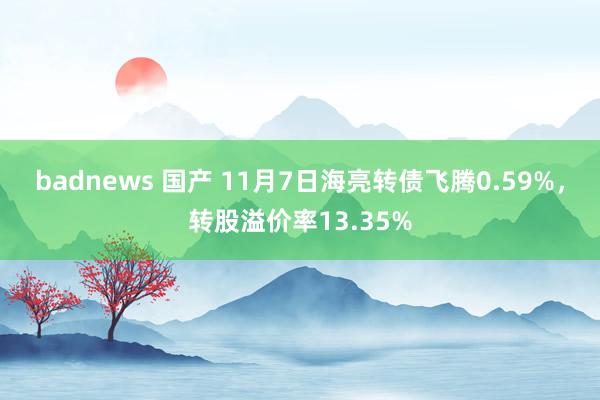 badnews 国产 11月7日海亮转债飞腾0.59%，转股