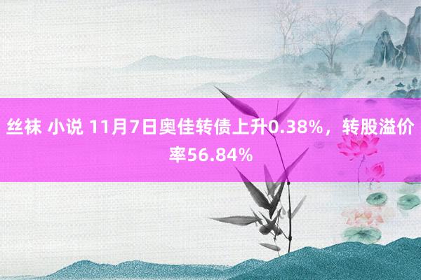 丝袜 小说 11月7日奥佳转债上升0.38%，转股溢价率56