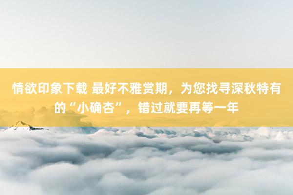 情欲印象下载 最好不雅赏期，为您找寻深秋特有的“小确杏”，错