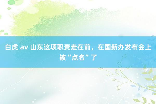 白虎 av 山东这项职责走在前，在国新办发布会上被“点名”了