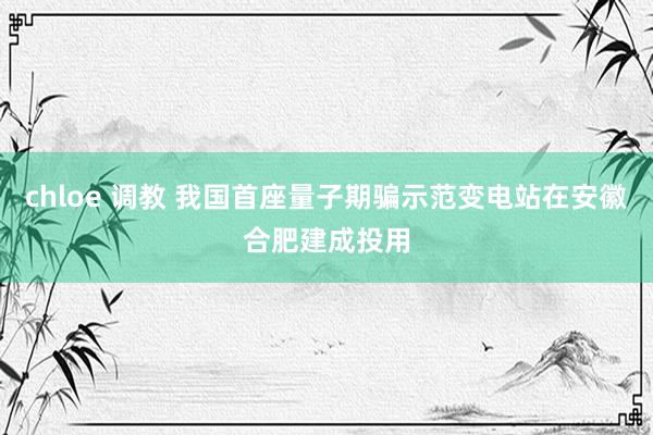 chloe 调教 我国首座量子期骗示范变电站在安徽合肥建成投用