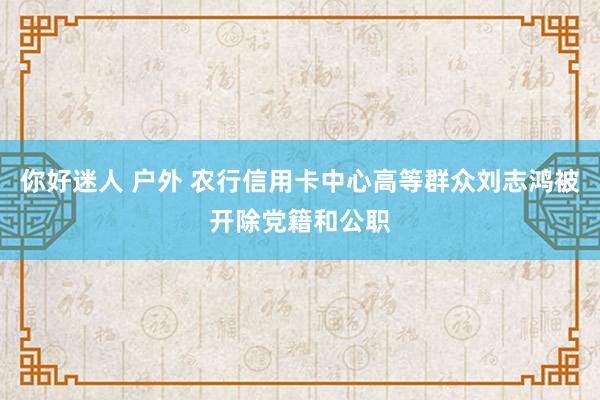 你好迷人 户外 农行信用卡中心高等群众刘志鸿被开除党籍和公职