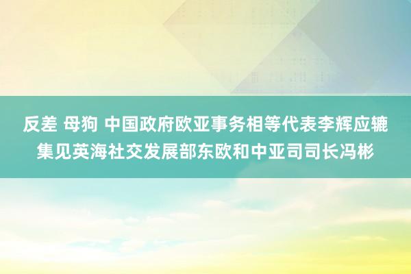 反差 母狗 中国政府欧亚事务相等代表李辉应辘集见英海社交发展部东欧和中亚司司长冯彬