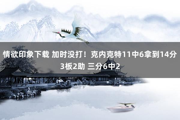 情欲印象下载 加时没打！克内克特11中6拿到14分3板2助 三分6中2