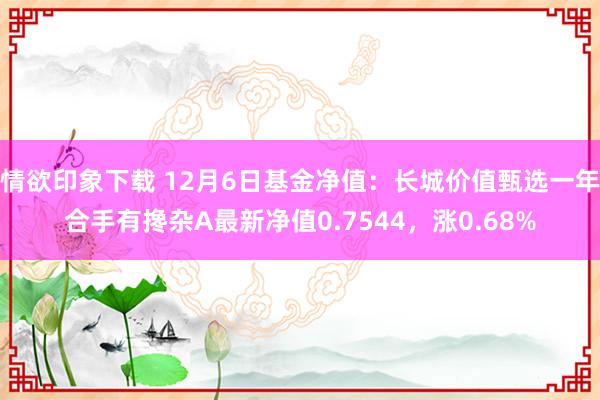 情欲印象下载 12月6日基金净值：长城价值甄选一年合手有搀杂A最新净值0.7544，涨0.68%