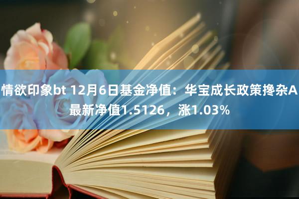 情欲印象bt 12月6日基金净值：华宝成长政策搀杂A最新净值1.5126，涨1.03%