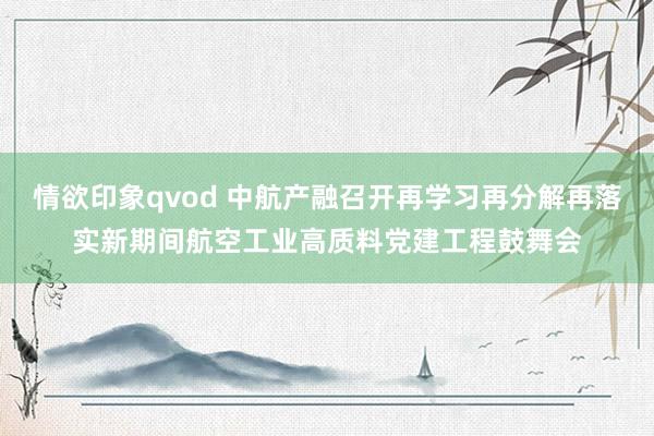 情欲印象qvod 中航产融召开再学习再分解再落实新期间航空工业高质料党建工程鼓舞会