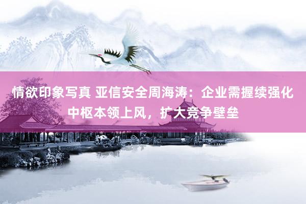 情欲印象写真 亚信安全周海涛：企业需握续强化中枢本领上风，扩大竞争壁垒