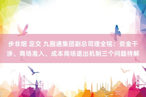 步非烟 足交 九囿通集团副总司理全铭：资金干涉、商场准入、成本商场退出机制三个问题待解