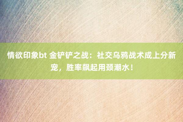 情欲印象bt 金铲铲之战：社交乌鸦战术成上分新宠，胜率飙起用颈潮水！