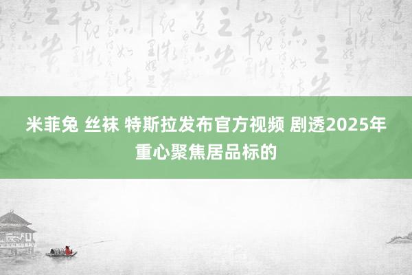 米菲兔 丝袜 特斯拉发布官方视频 剧透2025年重心聚焦居品标的