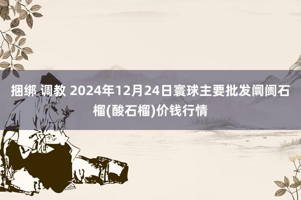 捆绑 调教 2024年12月24日寰球主要批发阛阓石榴(酸石