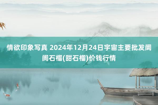 情欲印象写真 2024年12月24日宇宙主要批发阛阓石榴(甜