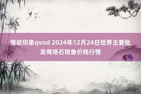 情欲印象qvod 2024年12月24日世界主要批发商场石斑鱼价钱行情