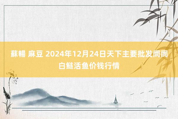 蘇暢 麻豆 2024年12月24日天下主要批发阛阓白鲢活鱼价钱行情