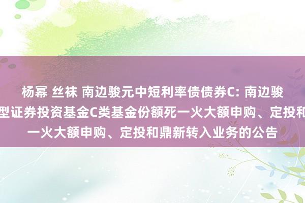 杨幂 丝袜 南边骏元中短利率债债券C: 南边骏元中短期利率债