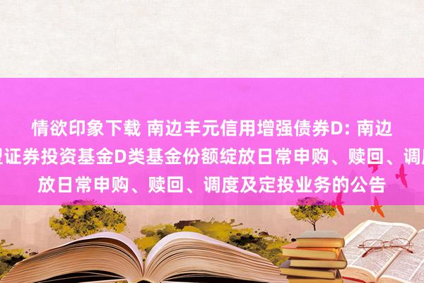 情欲印象下载 南边丰元信用增强债券D: 南边丰元信用增强债券