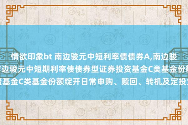 情欲印象bt 南边骏元中短利率债债券A,南边骏元中短利率债债