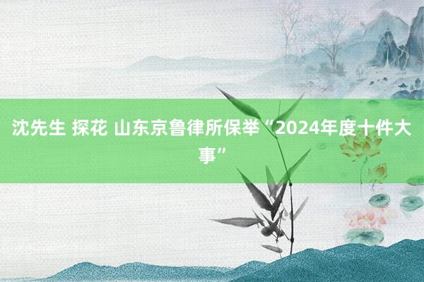 沈先生 探花 山东京鲁律所保举“2024年度十件大事”