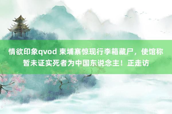 情欲印象qvod 柬埔寨惊现行李箱藏尸，使馆称暂未证实死者为中国东说念主！正走访