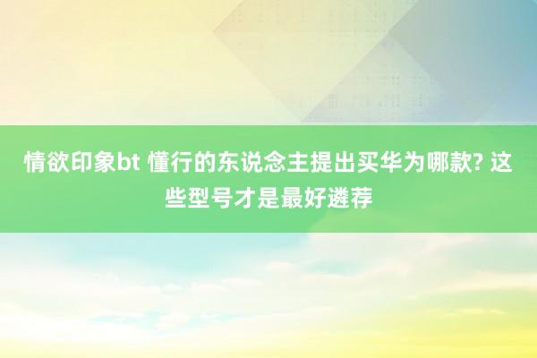 情欲印象bt 懂行的东说念主提出买华为哪款? 这些型号才是最好遴荐