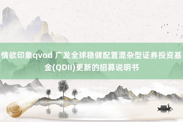 情欲印象qvod 广发全球稳健配置混杂型证券投资基金(QDI