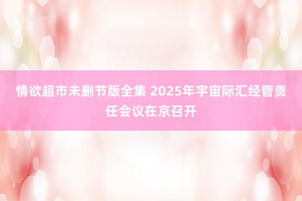 情欲超市未删节版全集 2025年宇宙际汇经管责任会议在京召开